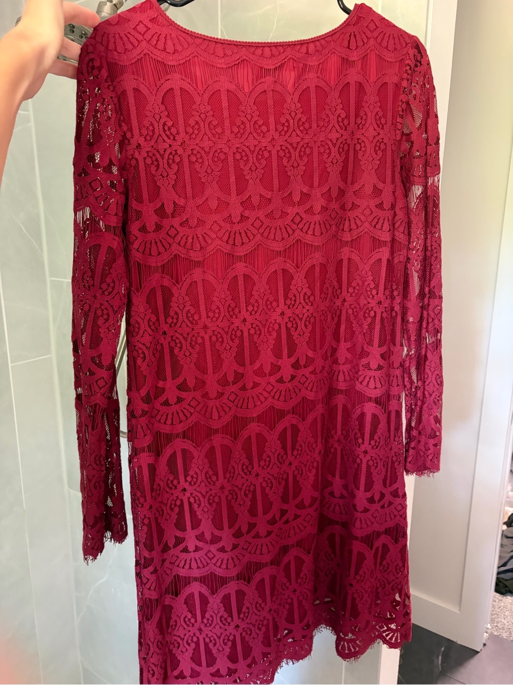 Max Studio Raspberry Red Lace Mini Dress - Picture 4 of 4